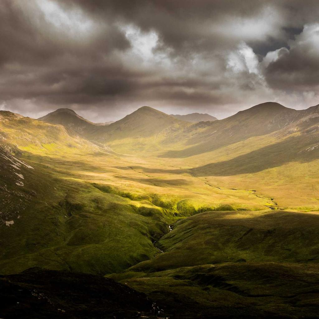 Calculator - professional stock photography