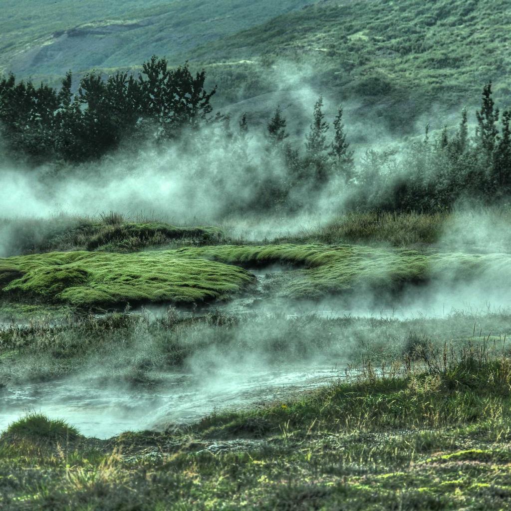 Chart - professional stock photography