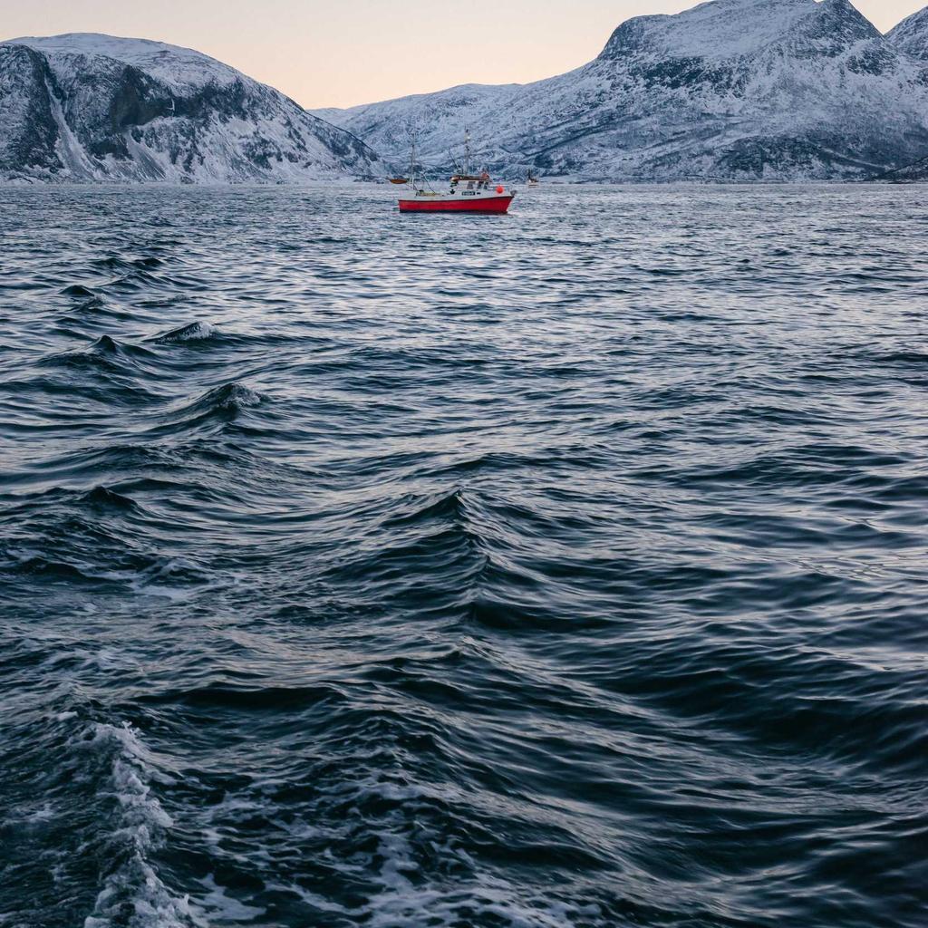Coins - professional stock photography