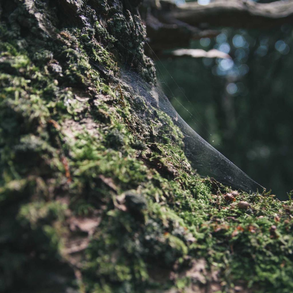 Credit Card - professional stock photography
