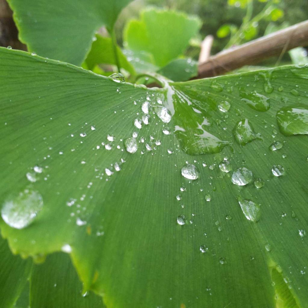 Credit Card - professional stock photography