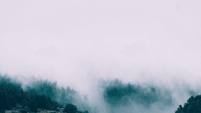 Credit Card - professional stock photography