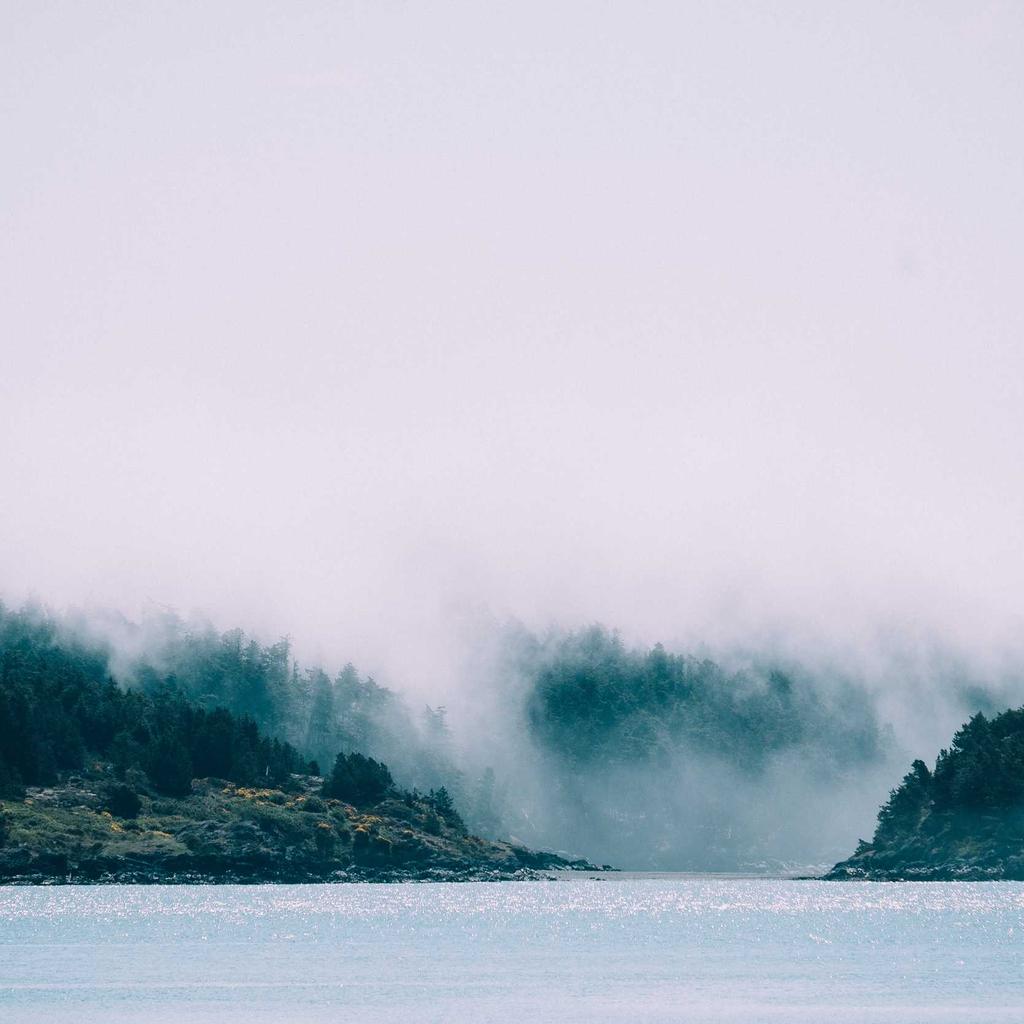Credit Card - professional stock photography