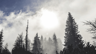 Gold - professional stock photography