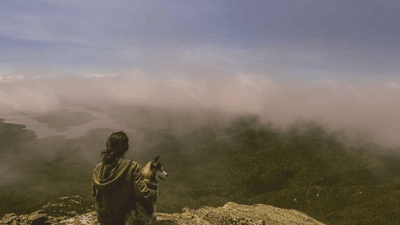 Gold - professional stock photography