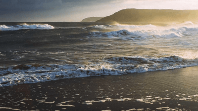 Graph - professional stock photography