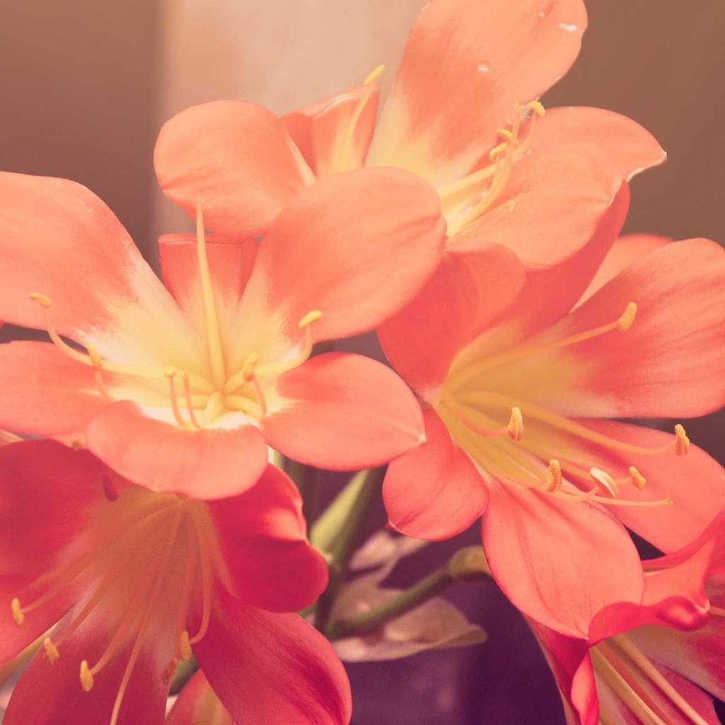 Graph - professional stock photography