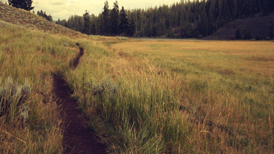 Investment - professional stock photography