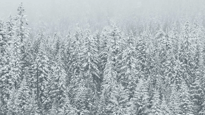 Investment - professional stock photography