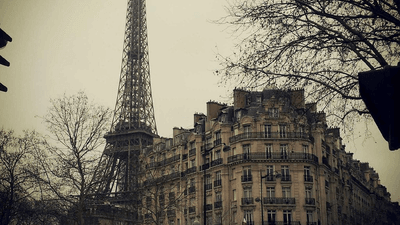 Laptop - professional stock photography