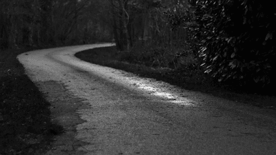 Meeting - professional stock photography