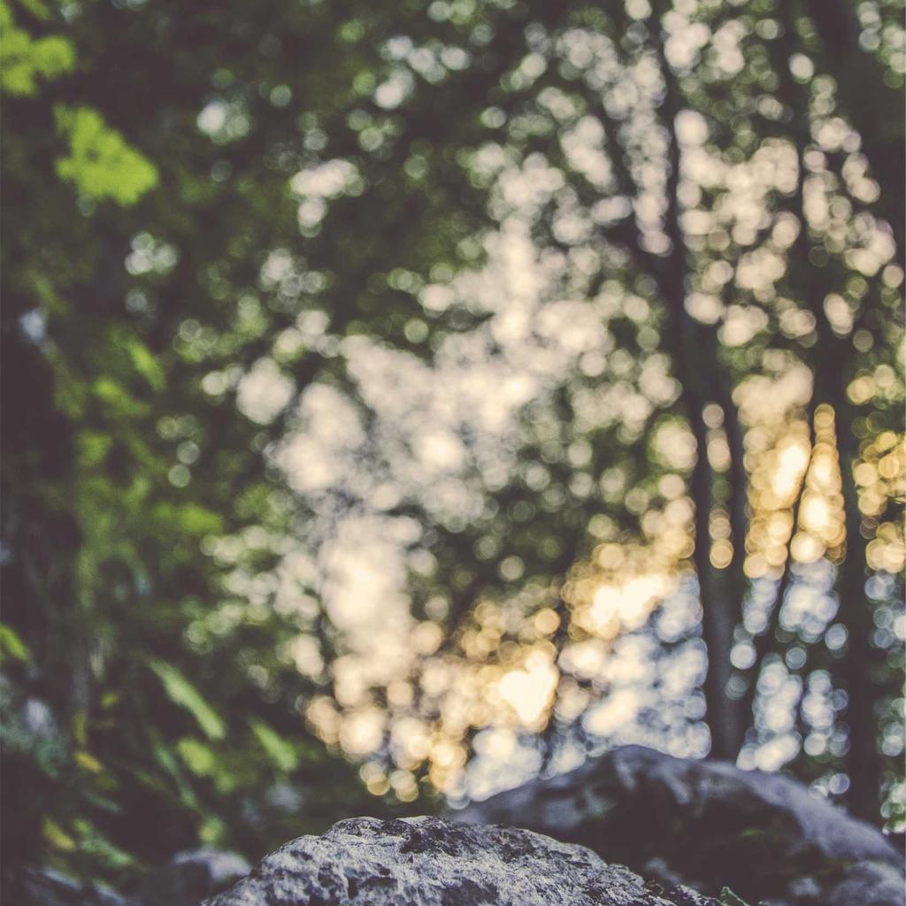 Meeting - professional stock photography