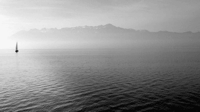 Money - professional stock photography