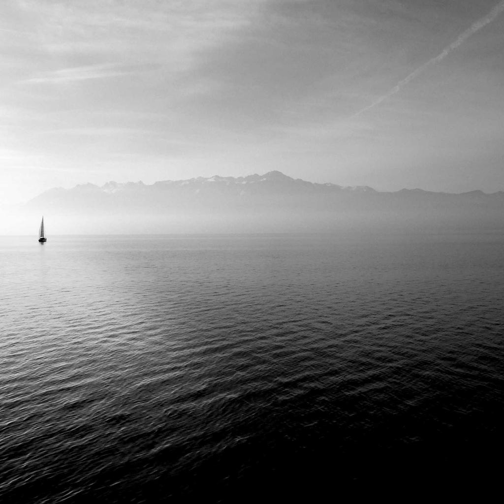 Money - professional stock photography