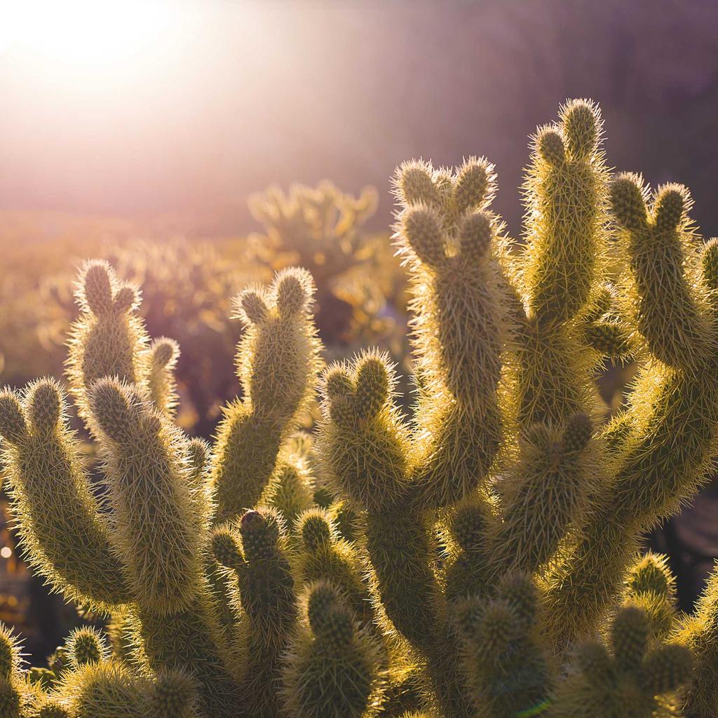 Money - professional stock photography