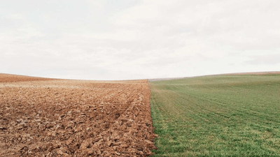 Money - professional stock photography