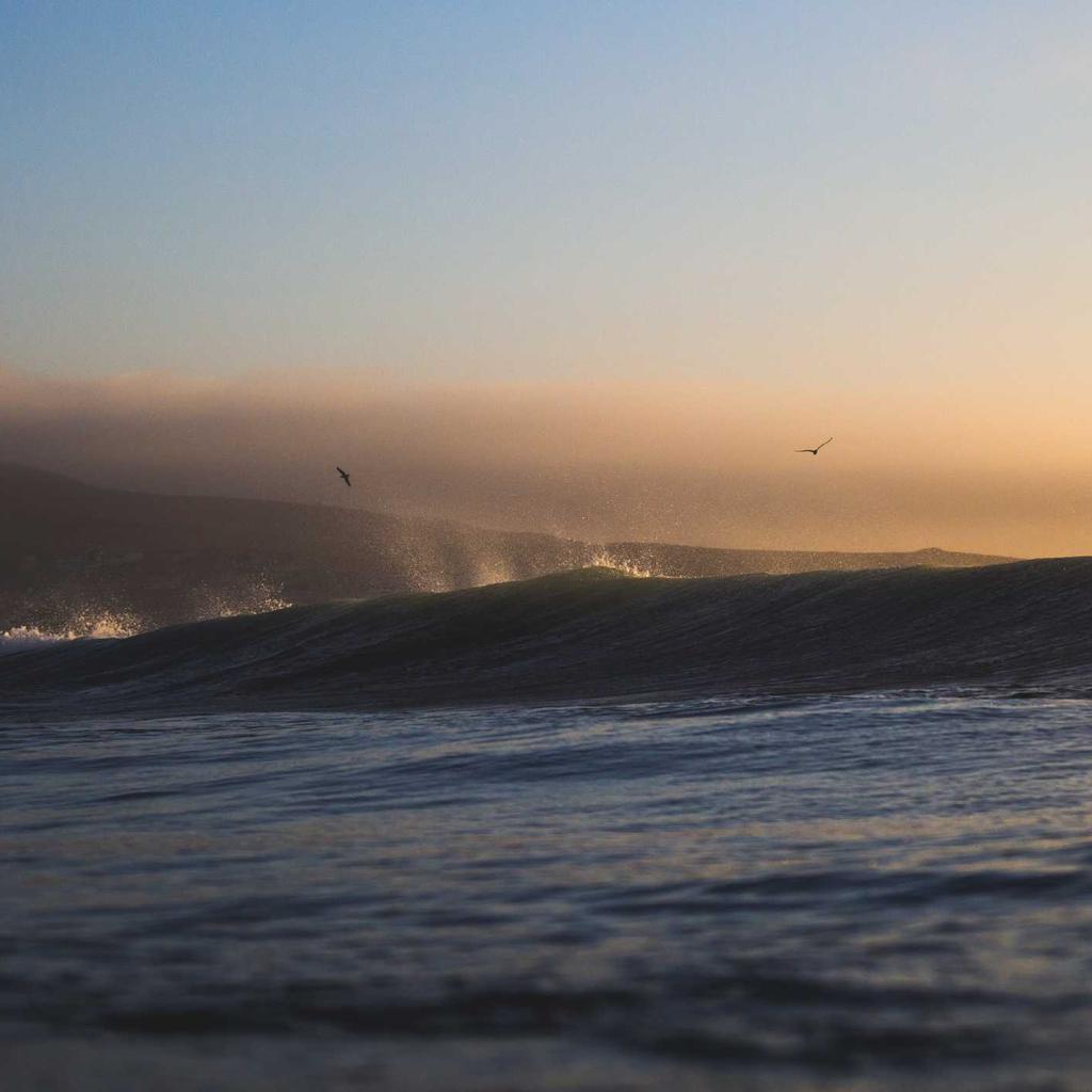 Piggy Bank - professional stock photography