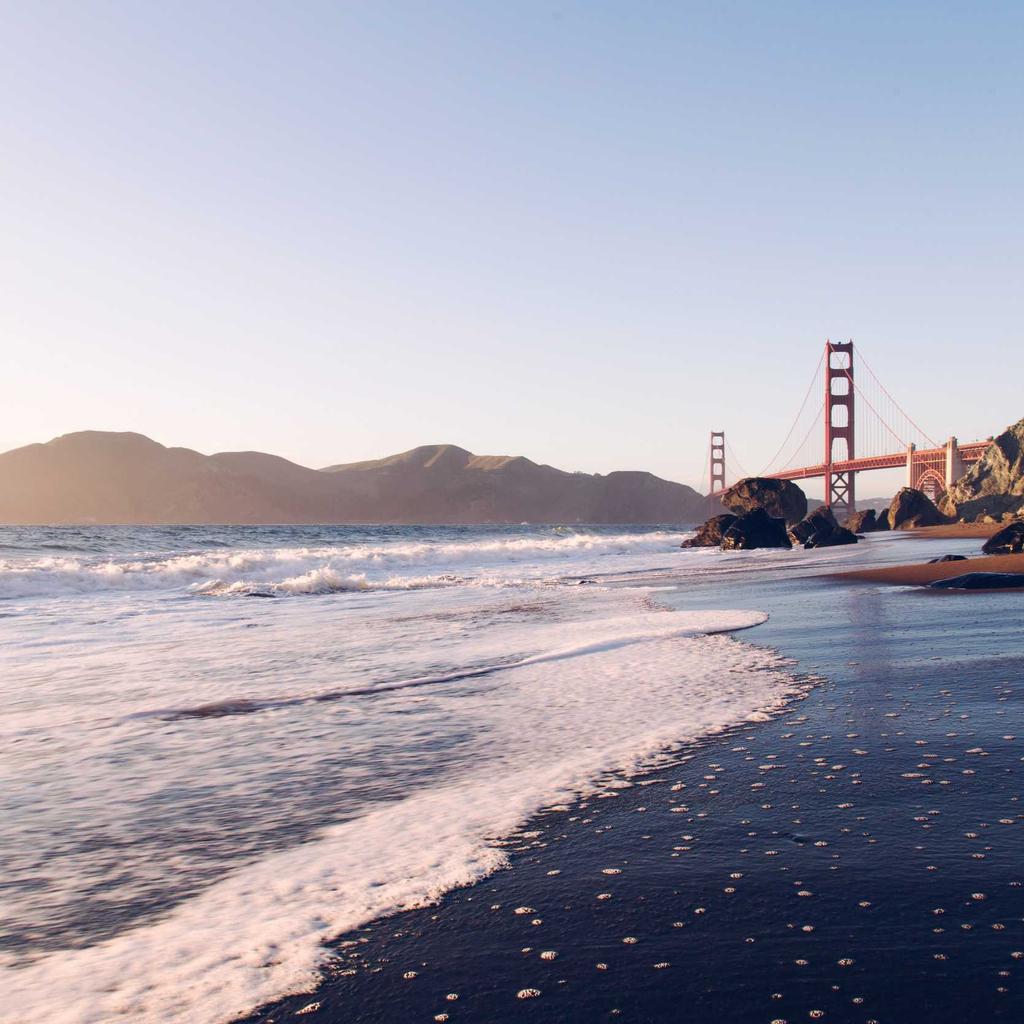 Piggy Bank - professional stock photography