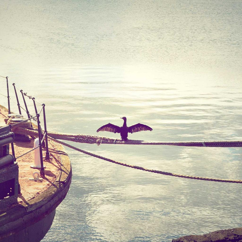 Real Estate - professional stock photography