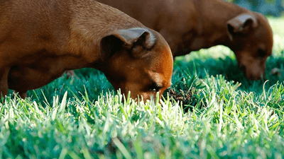 Savings - professional stock photography