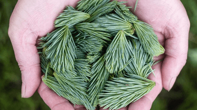 Stocks - professional stock photography