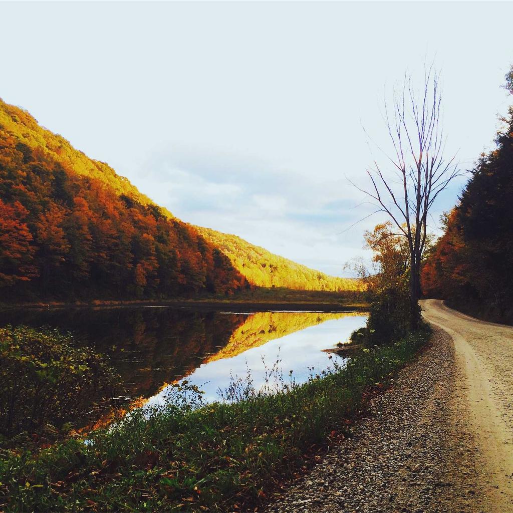 Stocks - professional stock photography