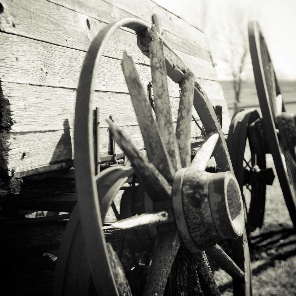 Wallet - professional stock photography