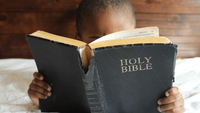 Wallet - professional stock photography