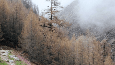 Wallet - professional stock photography