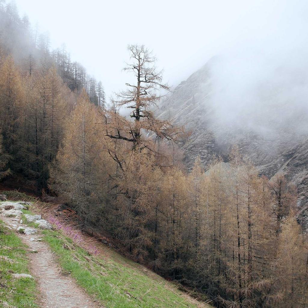 Wallet - professional stock photography