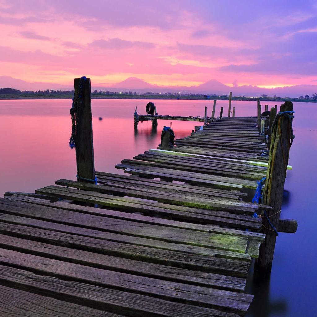 Wallet - professional stock photography